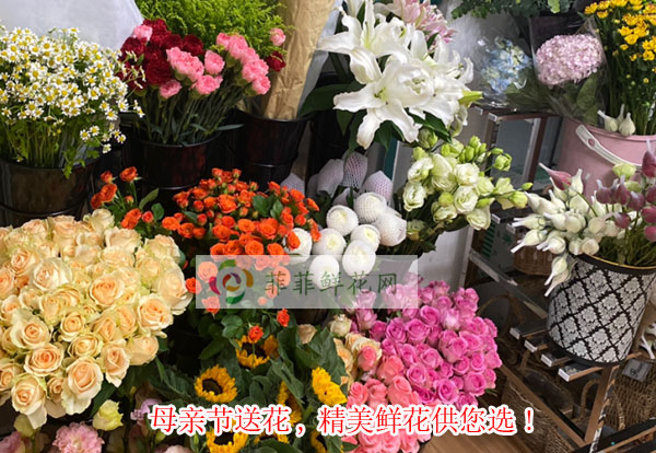 2024忻州偏关县母亲节送花,忻州偏关县精美鲜花供您选!